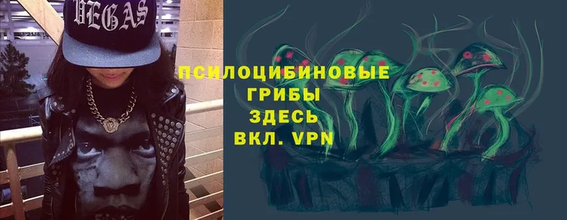 Псилоцибиновые грибы Cubensis  МЕГА tor  Поронайск 